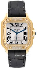 Cartier Santos De Cartier WJSA0008