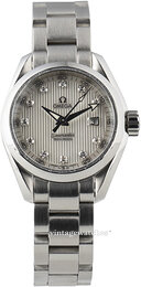 Omega Seamaster Aqua Terra Jewellery 231.10.30.61.55.001
