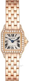 Cartier Santos Demoiselle WF9011Z8