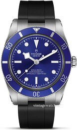 Tudor Black Bay 54 M79000B-0002